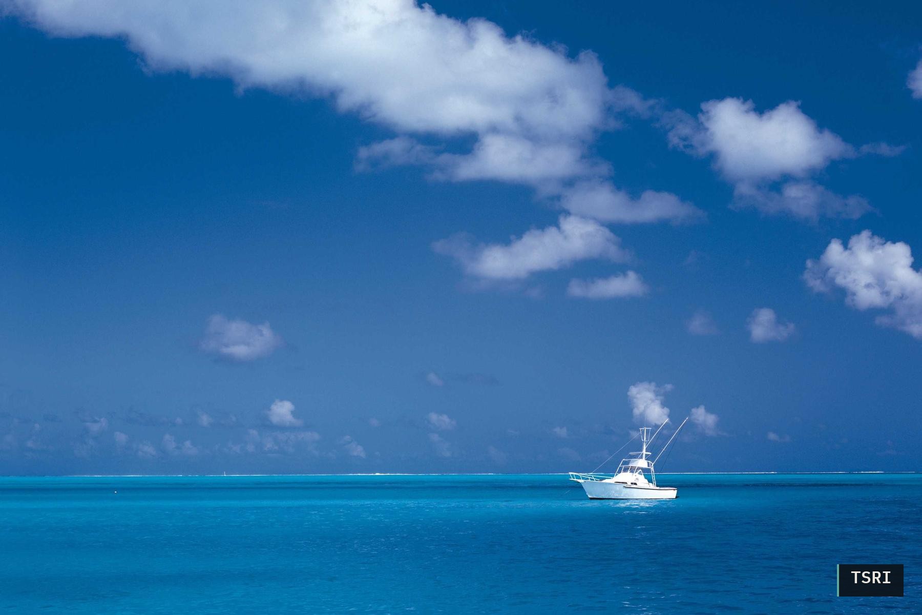 夜明け前の記録ノート
